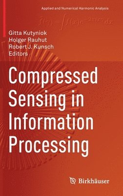 Compressed Sensing in Information Processing 1