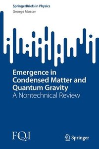 bokomslag Emergence in Condensed Matter and Quantum Gravity