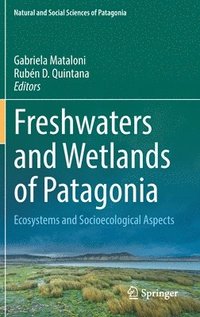 bokomslag Freshwaters and Wetlands of Patagonia