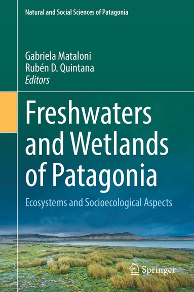 bokomslag Freshwaters and Wetlands of Patagonia