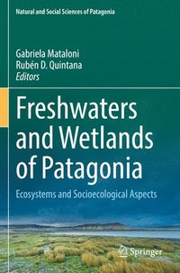 bokomslag Freshwaters and Wetlands of Patagonia