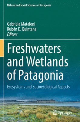 Gabriela Mataloni, Rubén D. Quintana, Ruben D. Quintana - Freshwaters and Wetlands of Patagonia, Häftad