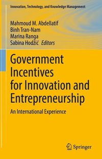 bokomslag Government Incentives for Innovation and Entrepreneurship