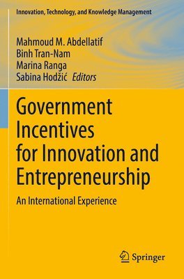 bokomslag Government Incentives for Innovation and Entrepreneurship
