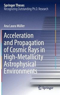 bokomslag Acceleration and Propagation of Cosmic Rays in High-Metallicity Astrophysical Environments