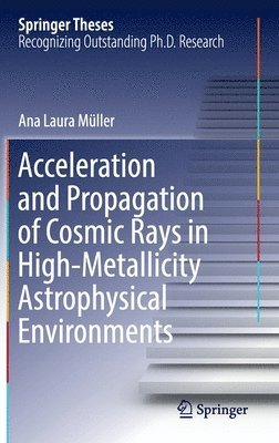 Acceleration and Propagation of Cosmic Rays in High-Metallicity Astrophysical Environments 1