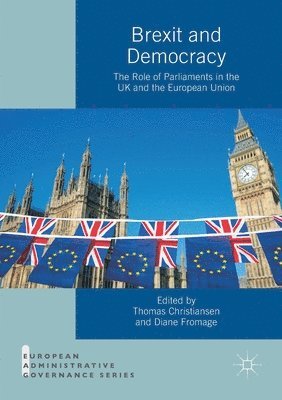 bokomslag Brexit and Democracy