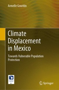 bokomslag Climate Displacement in Mexico