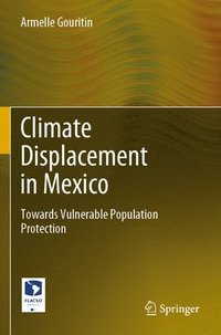 bokomslag Climate Displacement in Mexico