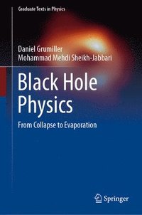 bokomslag Black Hole Physics