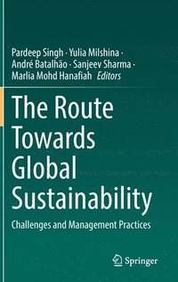 bokomslag The Route Towards Global Sustainability