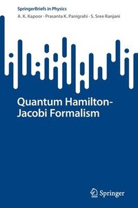 bokomslag Quantum Hamilton-Jacobi Formalism