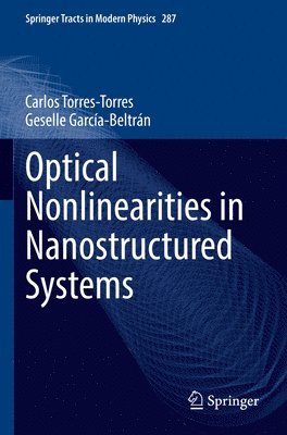 Carlos Torres-Torres, Geselle García-Beltrán, Geselle Garcia-Beltran - Optical Nonlinearities in Nanostructured Systems, Häftad