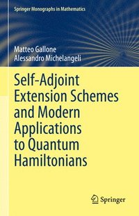 bokomslag Self-Adjoint Extension Schemes and Modern Applications to Quantum Hamiltonians
