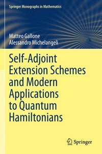 bokomslag Self-Adjoint Extension Schemes and Modern Applications to Quantum Hamiltonians