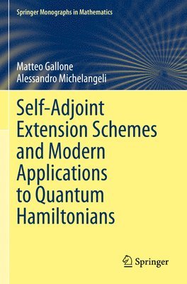 Self-Adjoint Extension Schemes and Modern Applications to Quantum Hamiltonians 1