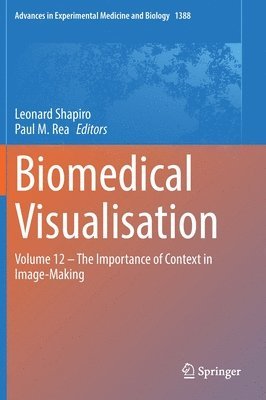 bokomslag Biomedical Visualisation