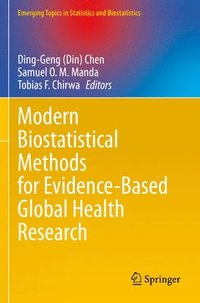 bokomslag Modern Biostatistical Methods for Evidence-Based Global Health Research
