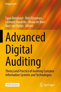 bokomslag Advanced Digital Auditing
