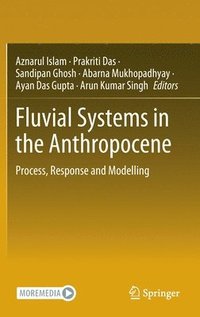 bokomslag Fluvial Systems in the Anthropocene
