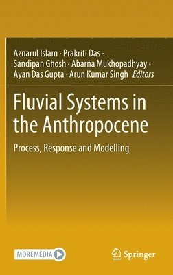 bokomslag Fluvial Systems in the Anthropocene