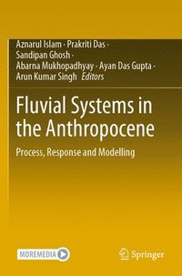 bokomslag Fluvial Systems in the Anthropocene