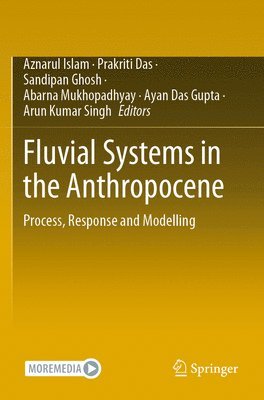 bokomslag Fluvial Systems in the Anthropocene