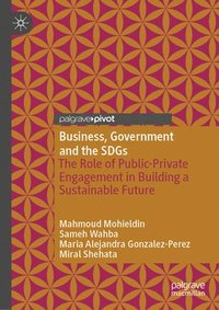 bokomslag Business, Government and the SDGs