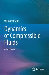 bokomslag Dynamics of Compressible Fluids