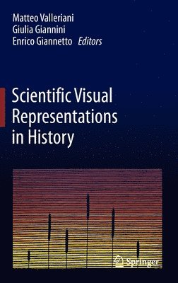 bokomslag Scientific Visual Representations in History