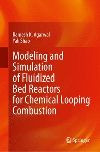 bokomslag Modeling and Simulation of Fluidized Bed Reactors for Chemical Looping Combustion