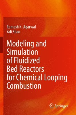 bokomslag Modeling and Simulation of Fluidized Bed Reactors for Chemical Looping Combustion