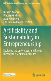 bokomslag Artificiality and Sustainability in Entrepreneurship