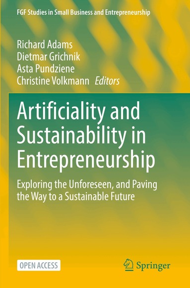 Richard Adams, Dietmar Grichnik, Asta Pundziene, Christine Volkmann - Artificiality and Sustainability in Entrepreneurship, Häftad