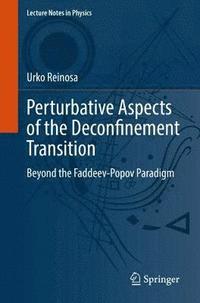 bokomslag Perturbative Aspects of the Deconfinement Transition
