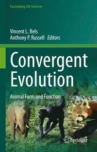 bokomslag Convergent Evolution