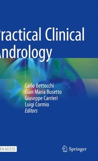 bokomslag Practical Clinical Andrology