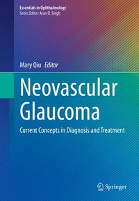 bokomslag Neovascular Glaucoma