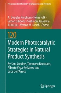 bokomslag Modern Photocatalytic Strategies in Natural Product Synthesis