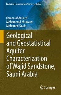 bokomslag Geological and Geostatistical Aquifer Characterization of Wajid Sandstone, Saudi Arabia
