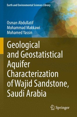 Osman Abdullatif, Mohammad Makkawi, Mohamed Yassin - Geological and Geostatistical Aquifer Characterization of Wajid Sandstone, Saudi Arabia, Häftad