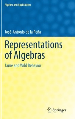 bokomslag Representations of Algebras