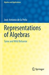 bokomslag Representations of Algebras