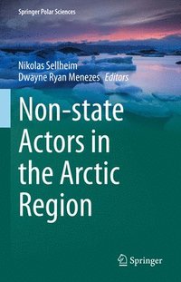 bokomslag Non-state Actors in the Arctic Region