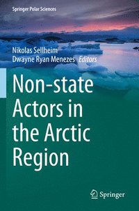 bokomslag Non-state Actors in the Arctic Region