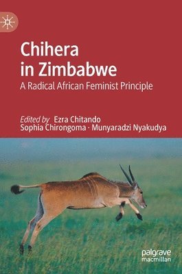 Chihera in Zimbabwe 1