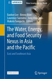 bokomslag The Water, Energy, and Food Security Nexus in Asia and the Pacific
