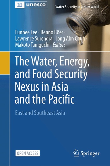Eunhee Lee, Benno Böer, Lawrence Surendra, Jong Ahn Chun, Makoto Taniguchi - Water, Energy, and Food Security Nexus in Asia and the Pacific, Inbunden