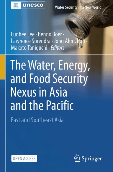 Eunhee Lee, Benno Böer, Lawrence Surendra, Jong Ahn Chun, Makoto Taniguchi - Water, Energy, and Food Security Nexus in Asia and the Pacific, Häftad