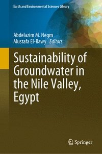 bokomslag Sustainability of Groundwater in the Nile Valley, Egypt